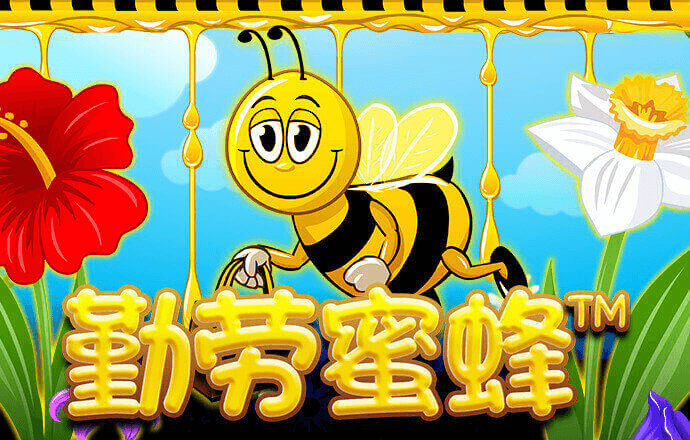 凯云体育app官网下载